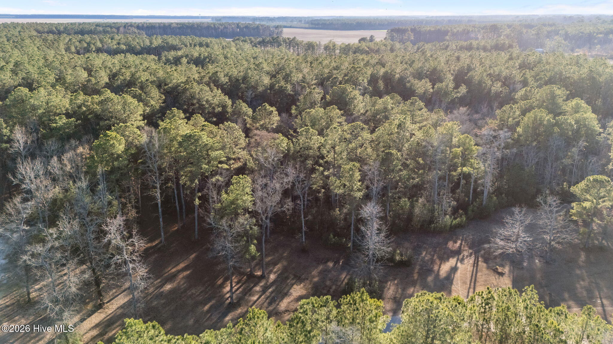 10 Topping Road Belhaven, NC 27810 - Photo 25 of 28 Pungo Creek Estates