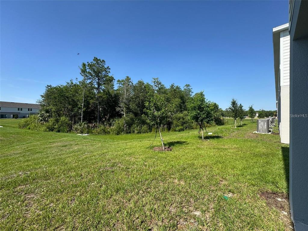 3133 Skyline Loop Kissimmee, FL 34758 - Photo 27 of 44