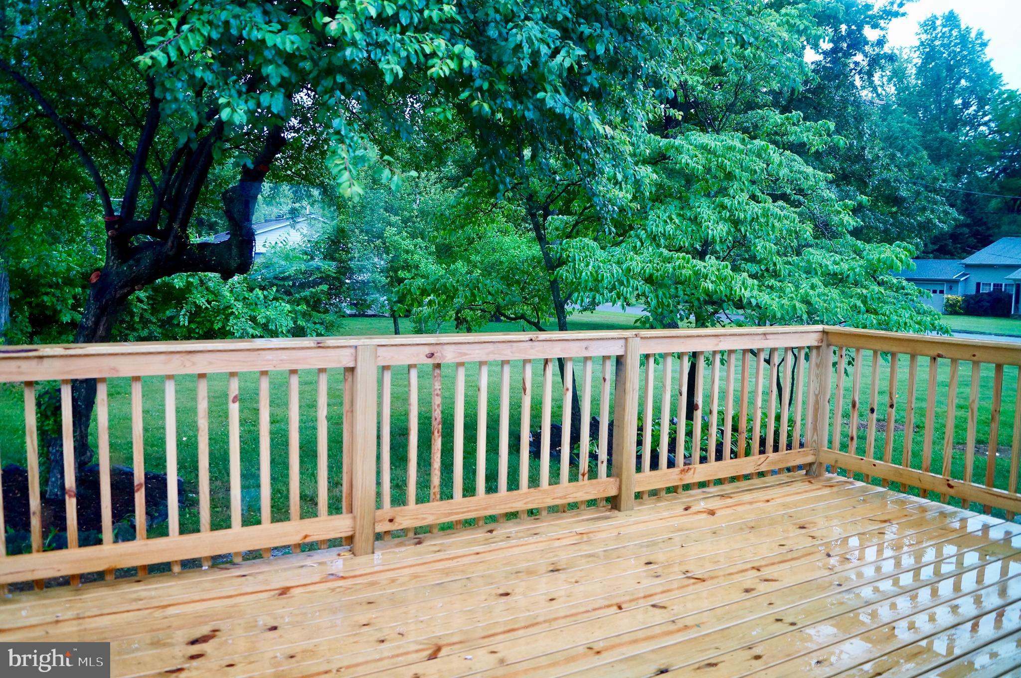 3429 Hazelwood Road Edgewater, MD 21037 - Photo 15 of 15 Great Deck Overlooking Huge Backyard
