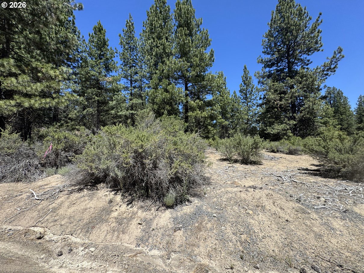 Friendship Drive, Unit 15 Chiloquin, OR 97624 - Photo 3 of 41