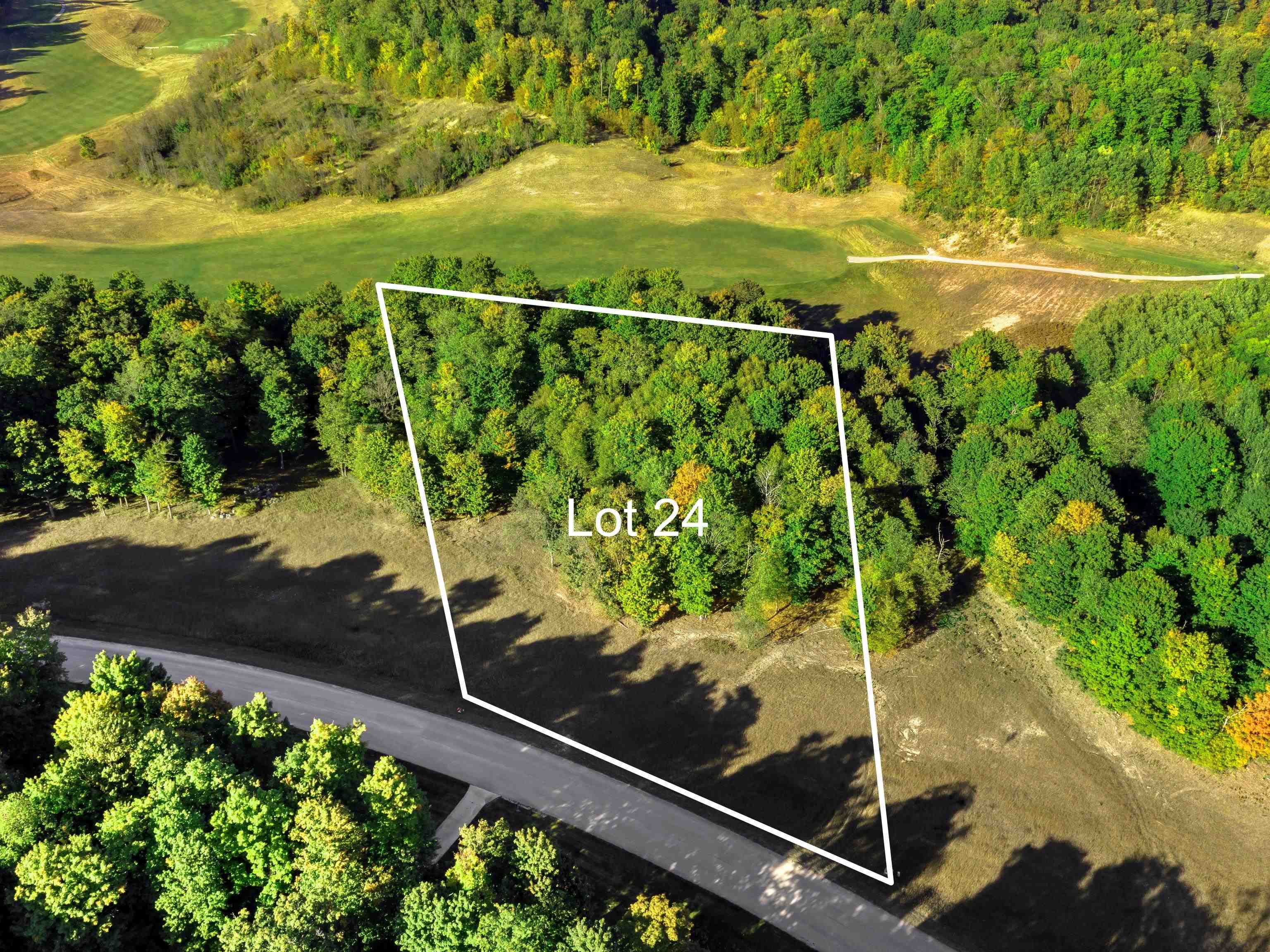 24 Heather Ridge Trail Beulah, MI 49617 - Photo 1 of 11