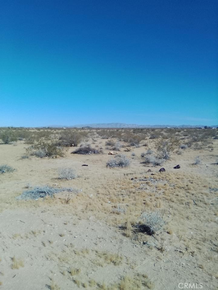 60731 Summers Road Landers, CA 92285 - Photo 4 of 6