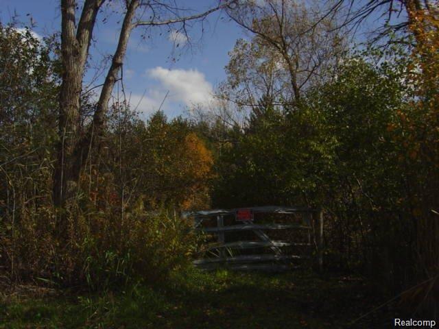 0 Clintonville Road Clarkston, MI 48346 - Photo 4 of 8