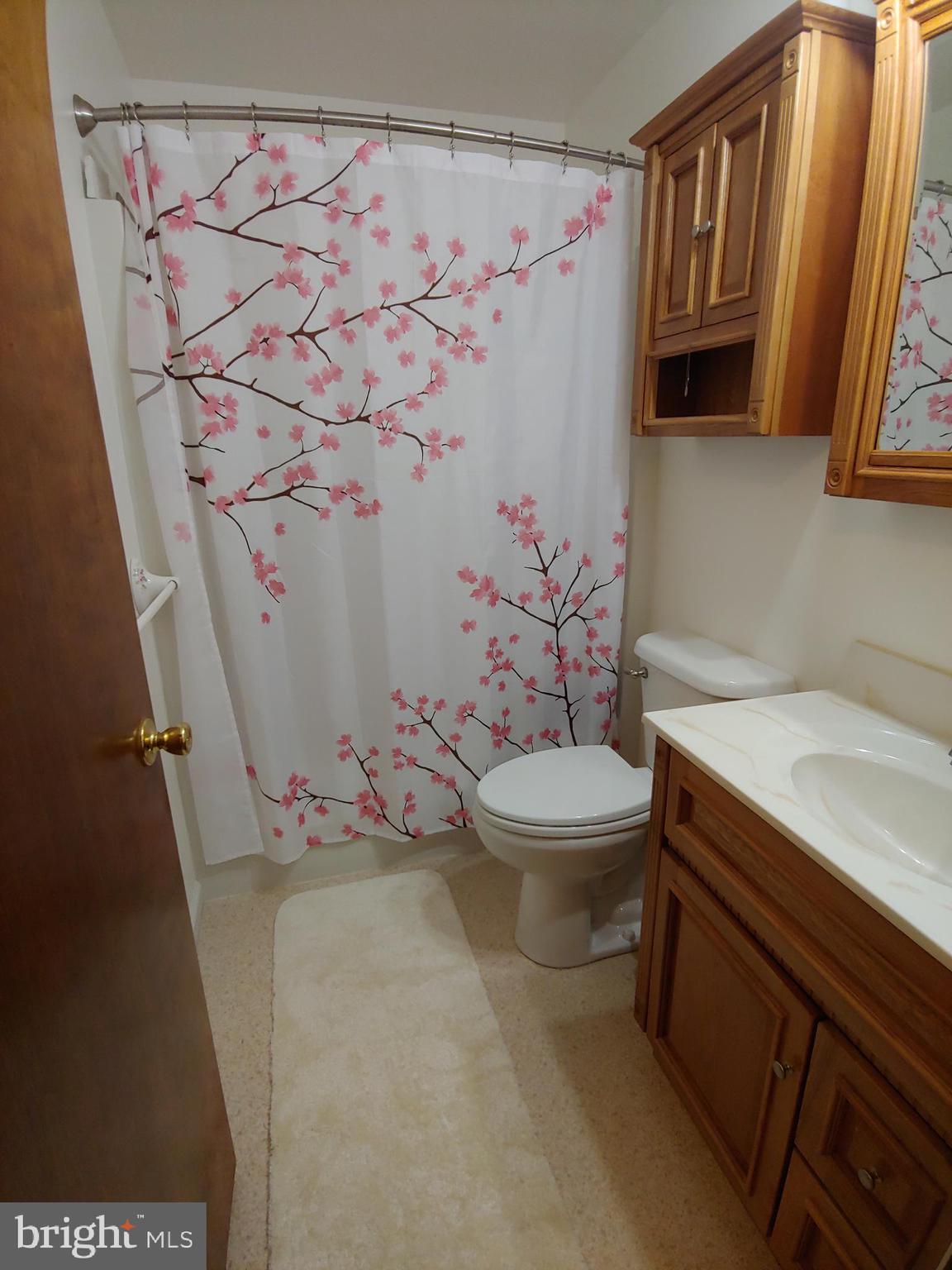 1629 Old Elk Neck Road Elkton, MD 21921 - Photo 15 of 36 Updated hall bathroom