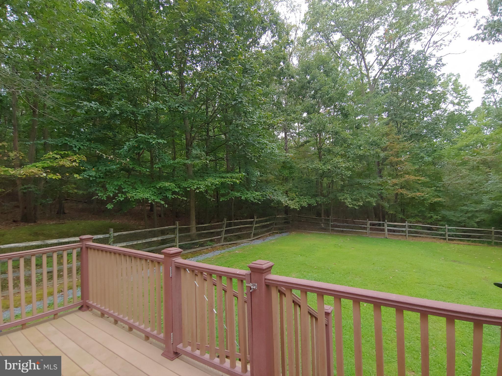1629 Old Elk Neck Road Elkton, MD 21921 - Photo 19 of 36 Wooded view from TREX deck