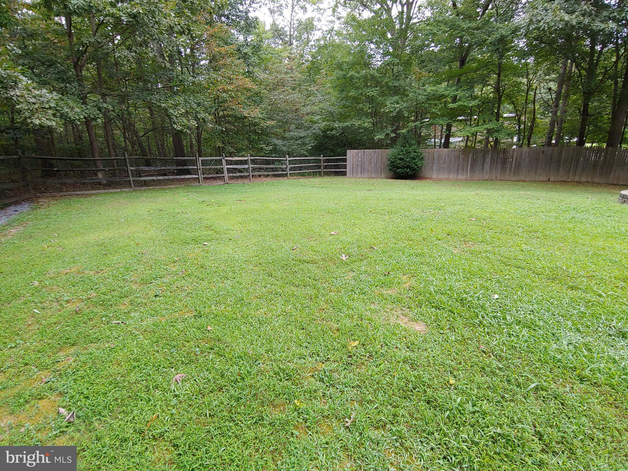 1629 Old Elk Neck Road Elkton, MD 21921 - Photo 20 of 36 Fenced rear yard