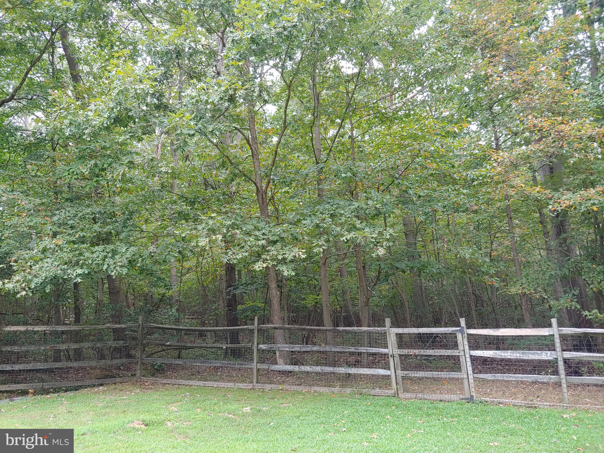 1629 Old Elk Neck Road Elkton, MD 21921 - Photo 23 of 36 Incredible wooded view