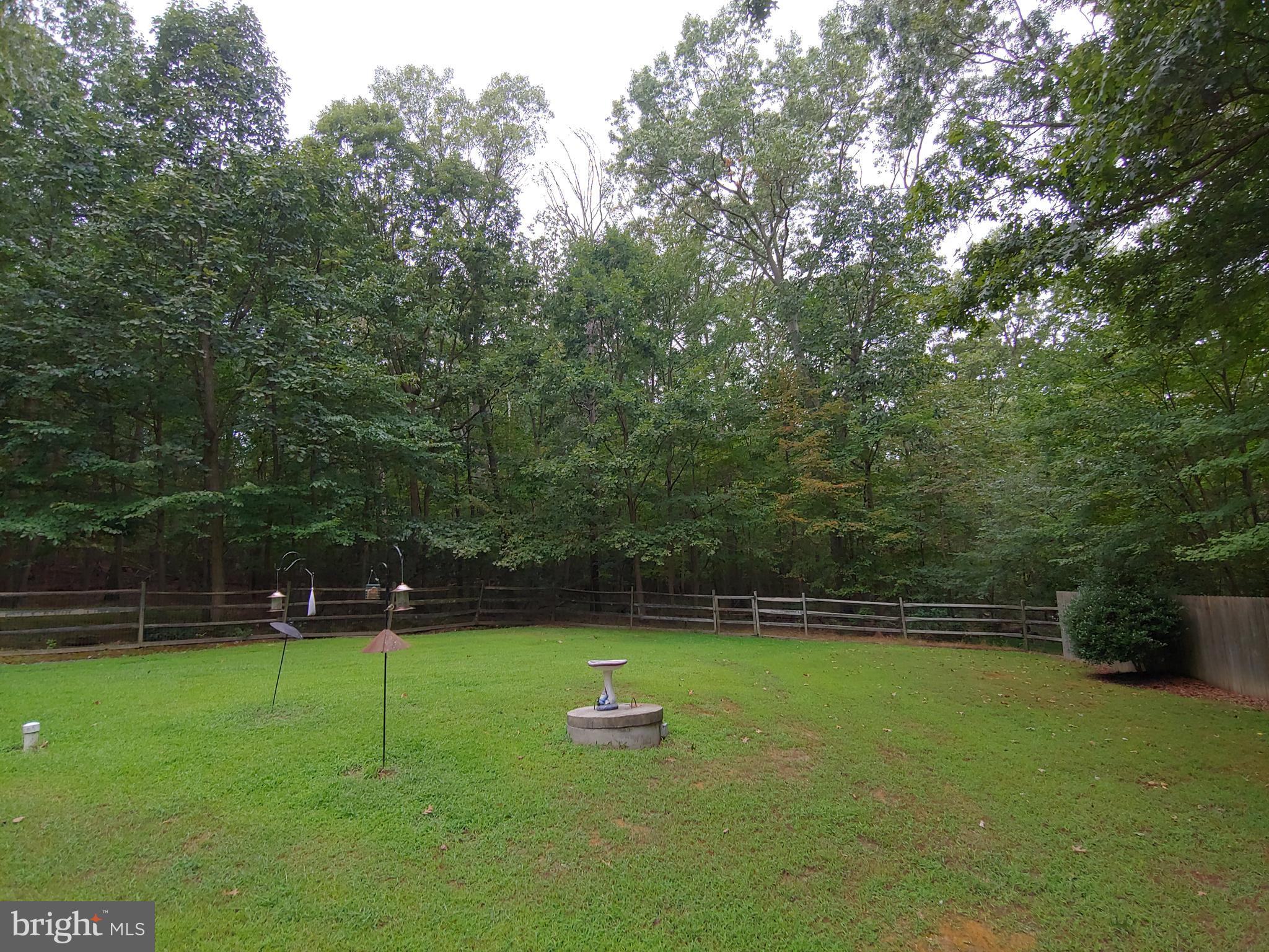 1629 Old Elk Neck Road Elkton, MD 21921 - Photo 24 of 36 Rear yard