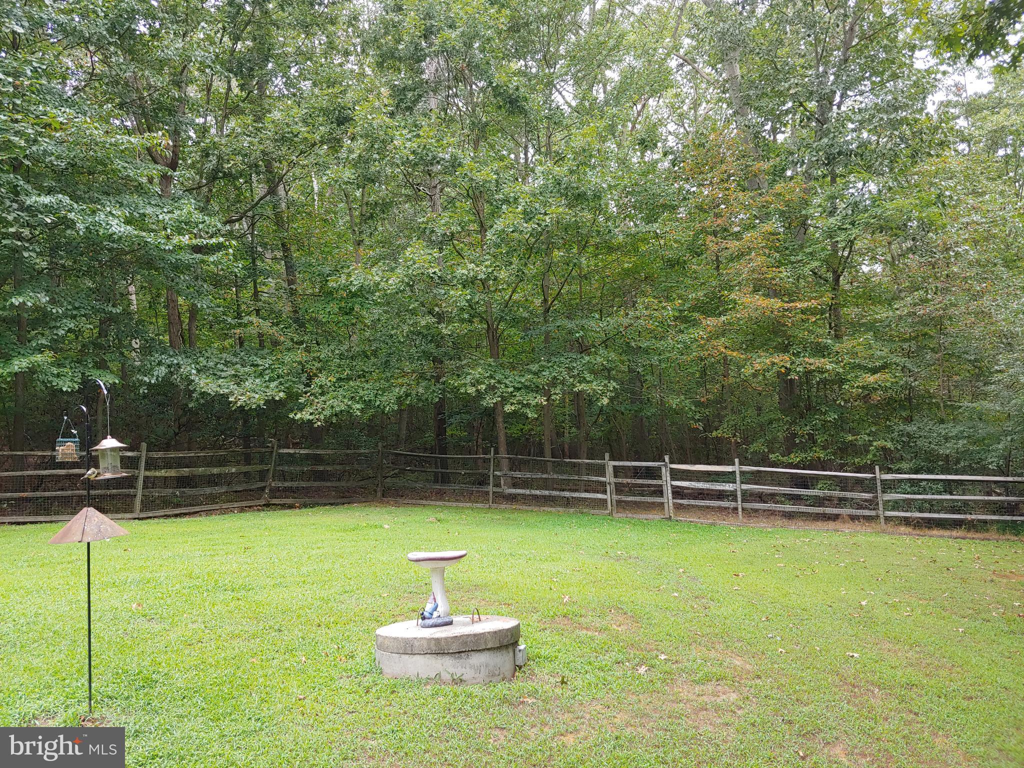 1629 Old Elk Neck Road Elkton, MD 21921 - Photo 25 of 36 Rear yard