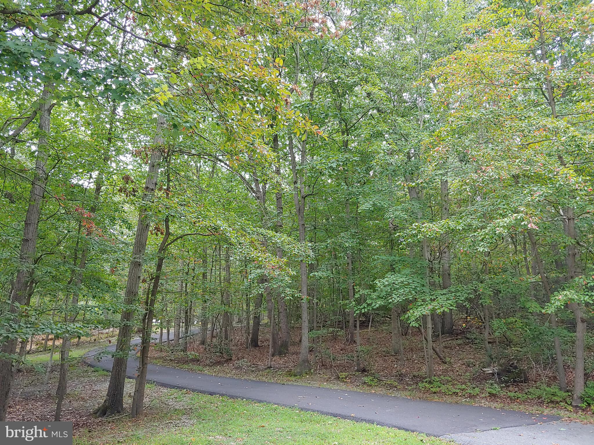 1629 Old Elk Neck Road Elkton, MD 21921 - Photo 5 of 36 Long paved driveway