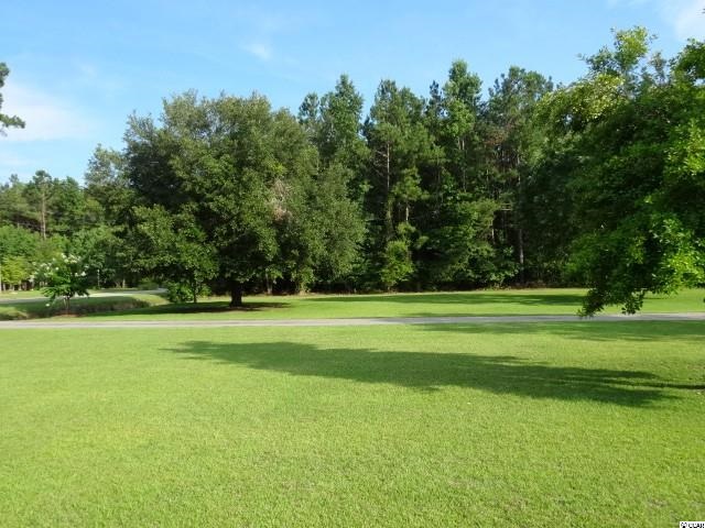 218 Bear Grass Road East Longs, SC 29568 - Photo 25 of 25 Gallery Image 25