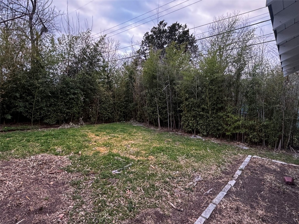 3308 Randolph Road, Unit B Austin, TX 78722 - Photo 15 of 16 a view of a yard with a tree