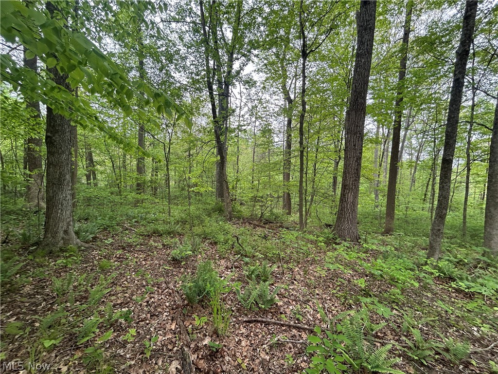 Wesley Chapel Mount Mount Perry, OH 43760 - Photo 6 of 15