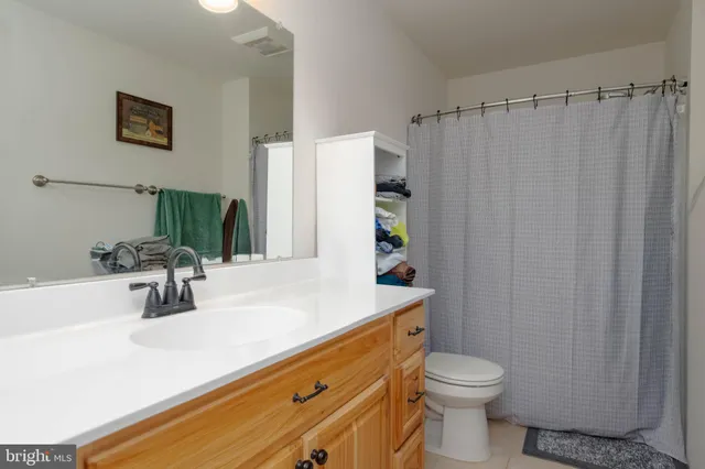 a bathroom with a sink a toilet and shower curtain