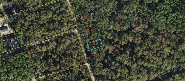 $12,000 | Lot 7 Fig Tree Lane, Crawfordville, FL 32327