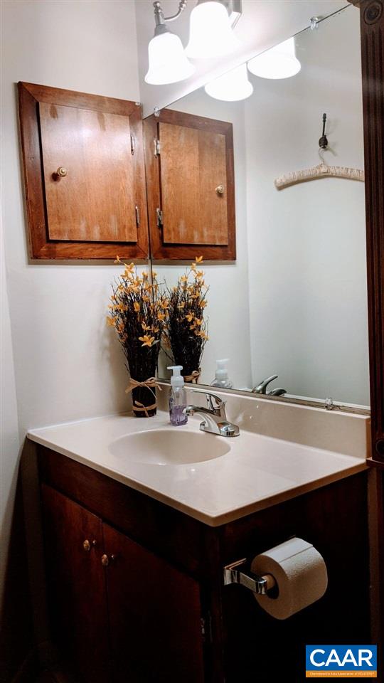 480 3 Ridges Roseland, VA 22967 - Photo 5 of 21 a bathroom with a sink and a mirror