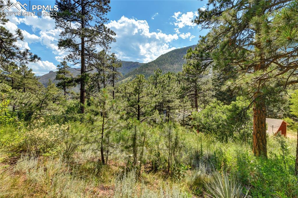 8236 Highway 24 Cascade, CO 80809 - Photo 23 of 24 a view of a forest