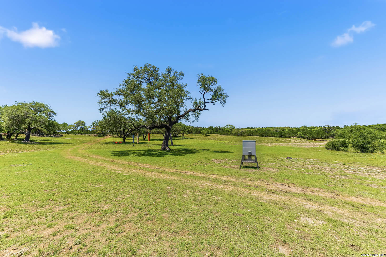 975 Flying R Ranch Road East Spring Branch, TX 78070 - Photo 2 of 47