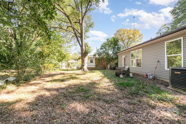 a view of a yard with plants and tree