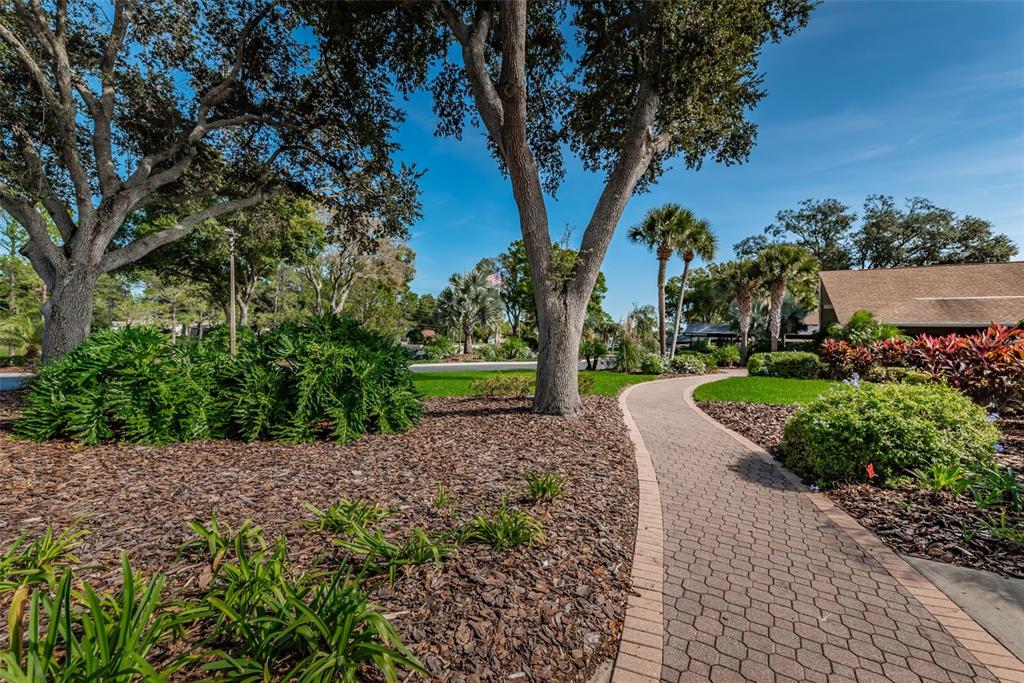 2836 Highlands Boulevard, Unit A Palm Harbor, FL 34684 - Photo 50 of 95