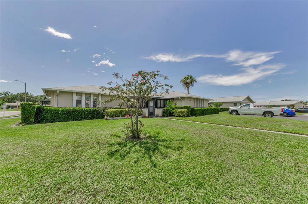 2836 Highlands Boulevard, Unit A Palm Harbor, FL 34684 - Photo 5 of 95 a view of a house with a big yard and large trees