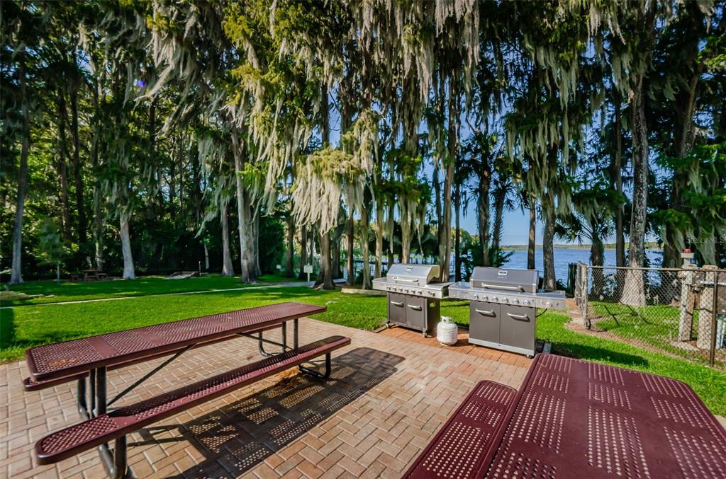 2836 Highlands Boulevard, Unit A Palm Harbor, FL 34684 - Photo 80 of 95 a view of a park with wooden bench and trees