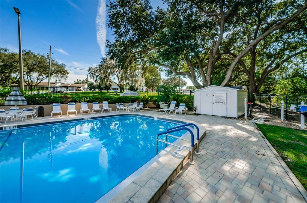 2836 Highlands Boulevard, Unit A Palm Harbor, FL 34684 - Photo 83 of 95 a view of a swimming pool with a patio and a garden