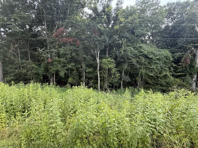 $80,000 | 0 Reed Road, Indian Mound, TN 37079