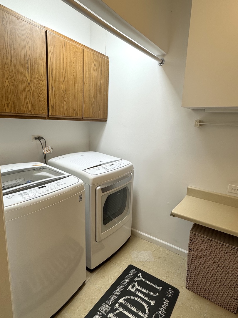 1009 Arbor Court Mount Prospect, IL 60056 - Photo 32 of 35 a utility room with dryer and washer