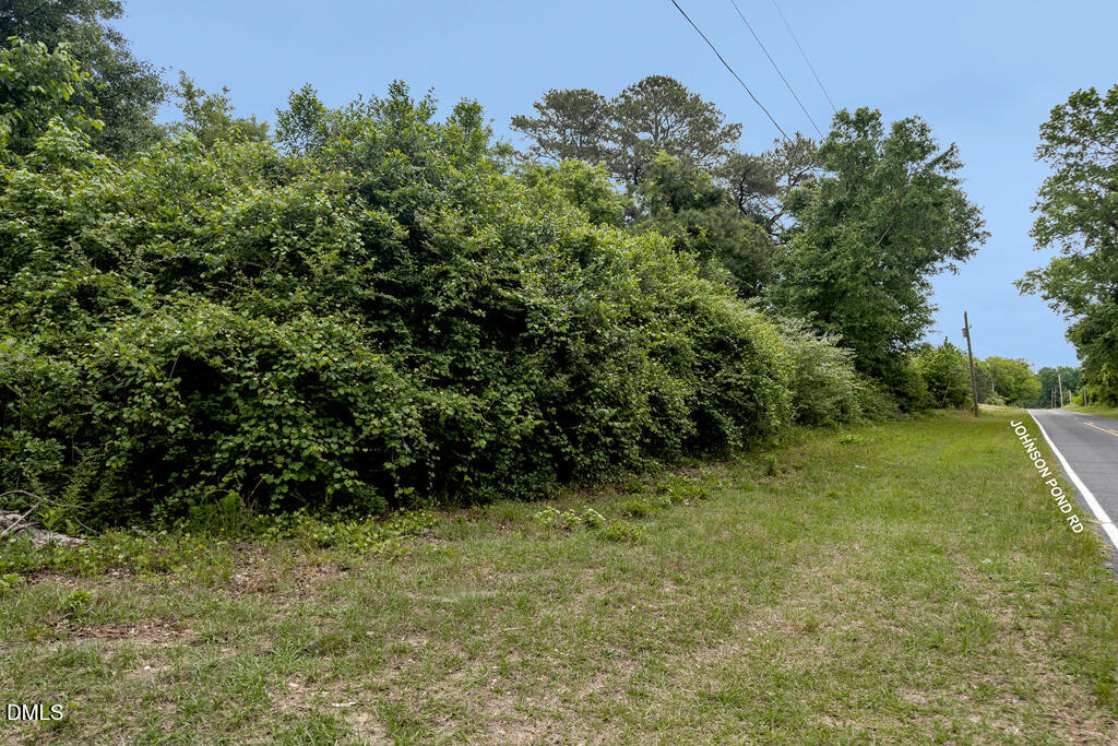 401 Johnson Pond Road Red Springs, NC 28377 - Photo 16 of 22 MLS_3.54acres_Hoke-2