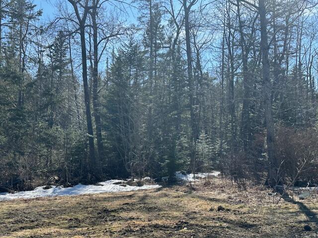 14 Greenville Road Shirley Mills, ME 04485 - Photo 25 of 28 IMG_0840