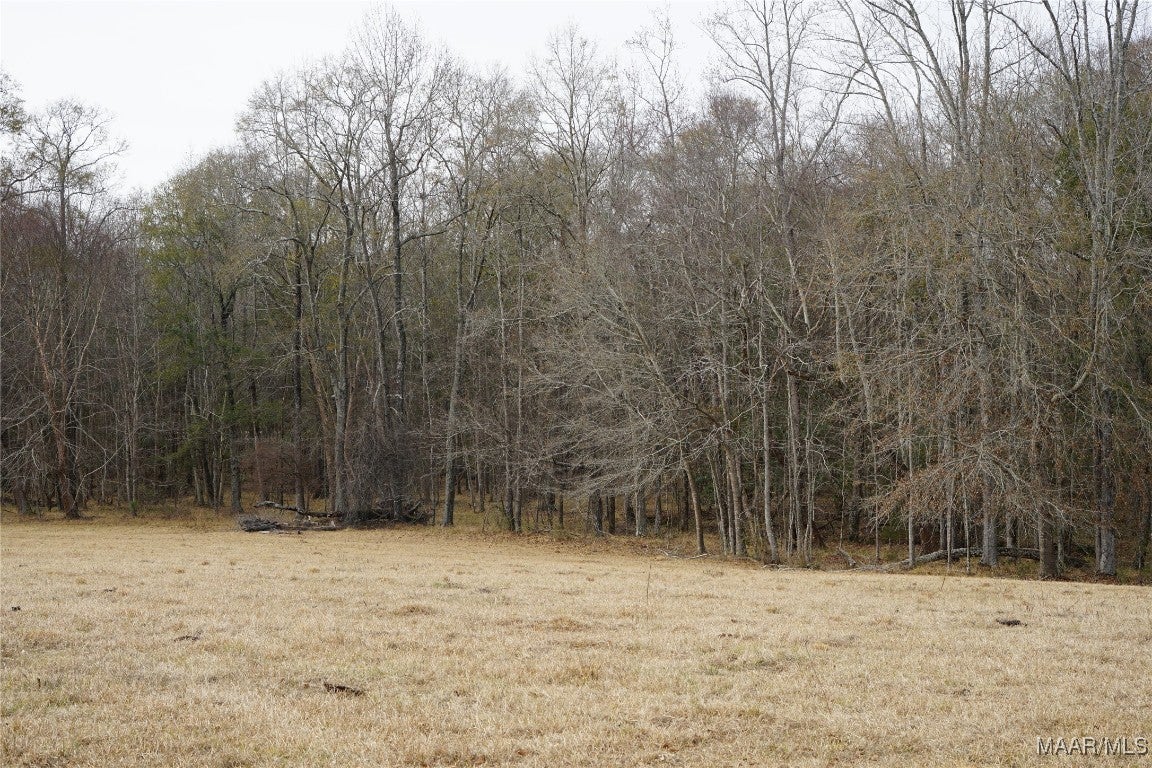 2434 Peake Road Ramer, AL 36069 - Photo 21 of 24 Gallery Image 21