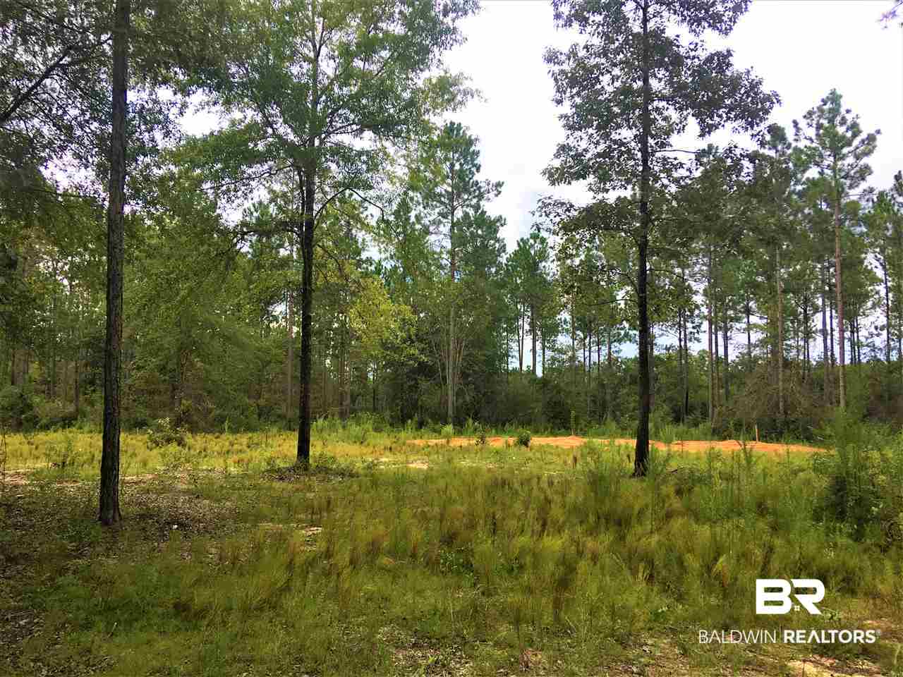 0 Dyas Road Perdido, AL 36562 - Photo 5 of 7 Gallery Image 5