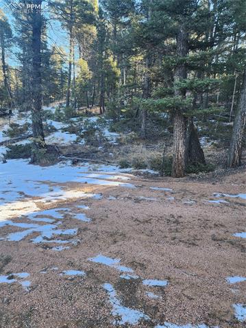 1180 Pinewood Road Florissant, CO 80816 - Photo 3 of 3