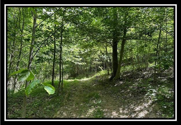 59 Weaver Road, Unit TRACT C) Chillicothe, OH 45601 - Photo 7 of 36 image007