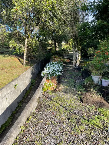 a view of a lake with a mountain