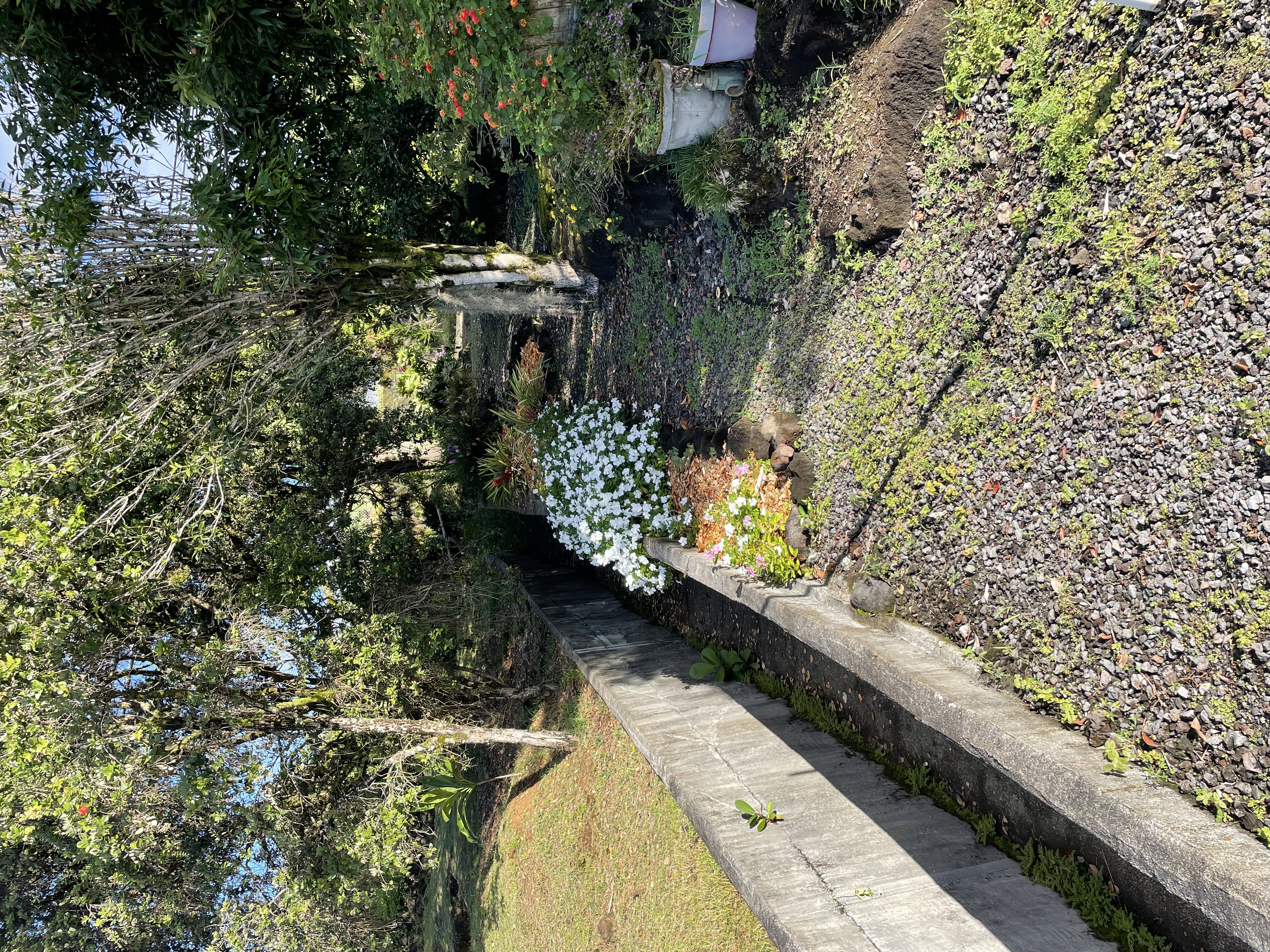 435 Lot 45 Kaumana Drive Hilo, HI 96720 - Photo 6 of 7 a view of a pathway with a yard