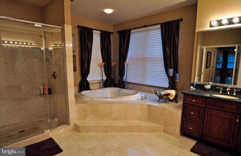 20129 Black Diamond Place Ashburn, VA 20147 - Photo 11 of 20 a bathroom with a tub sink and shower
