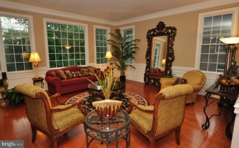 20129 Black Diamond Place Ashburn, VA 20147 - Photo 3 of 20 a living room with furniture a floor to ceiling window and potted plants