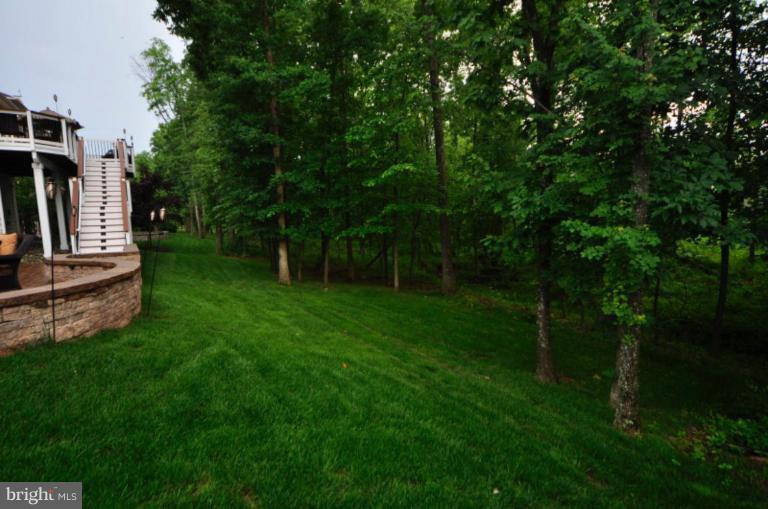 20129 Black Diamond Place Ashburn, VA 20147 - Photo 8 of 20 a view of a backyard with couches plants and large trees