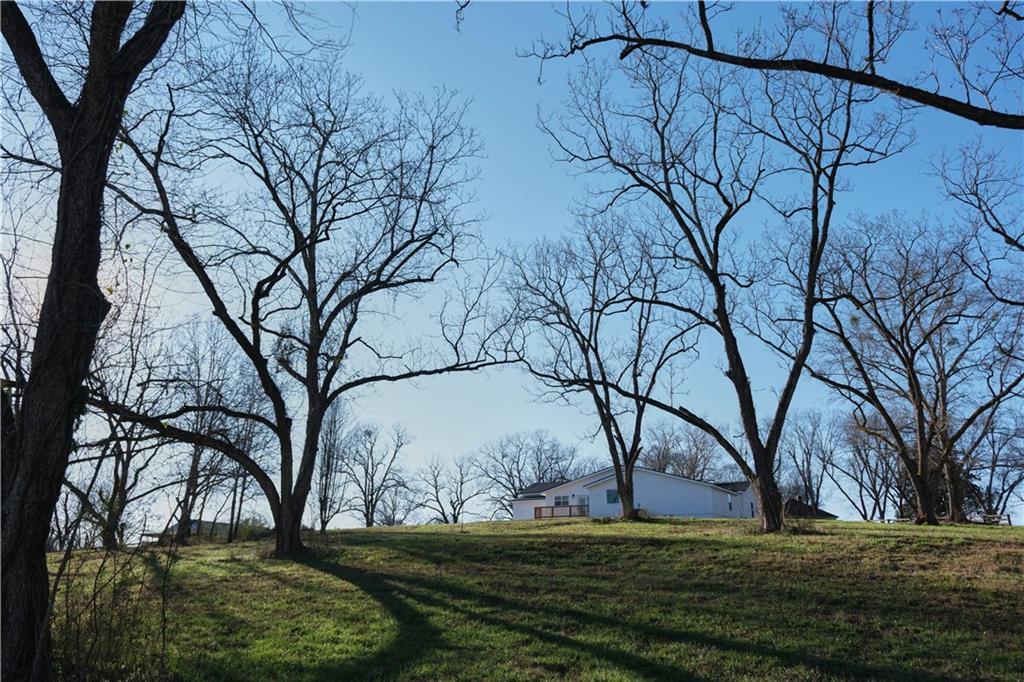 1771 Logtown Road Yatesville, GA 31097 - Photo 5 of 24