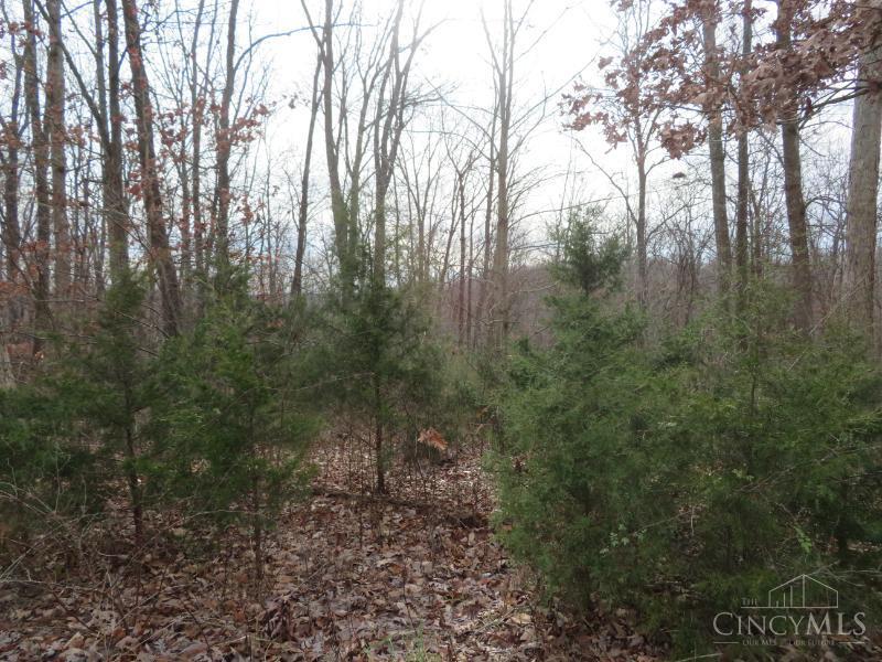 7730 Beavers Ridge Road Piketon, OH 45661 - Photo 10 of 15