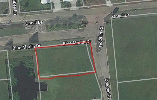 21565 Blue Marlin Drive Springfield, LA 70462 - Photo 5 of 5