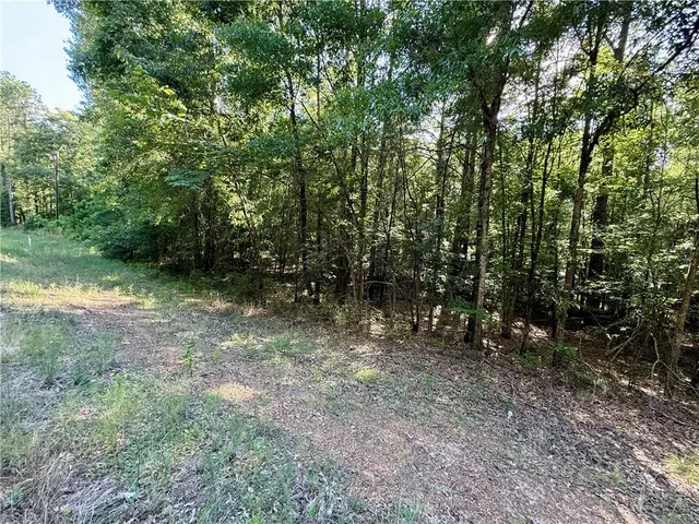 $54,995 | 0 Hwy 771 Highway, Olla, LA 71465