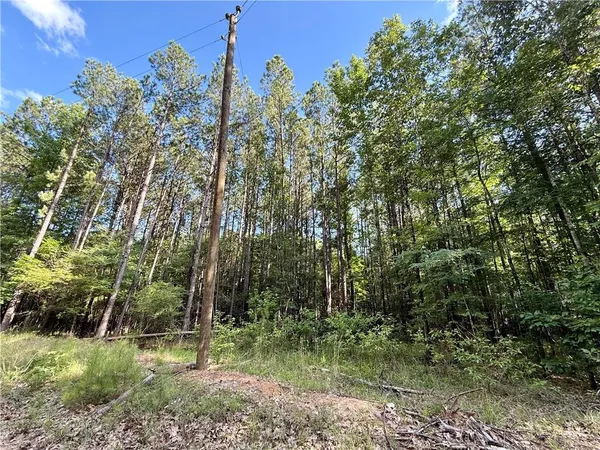 $52,249 | 0 Hwy 771 Highway, Olla, LA 71465