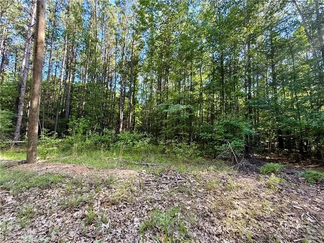 $54,995 | 0 Hwy 771 Highway, Olla, LA 71465