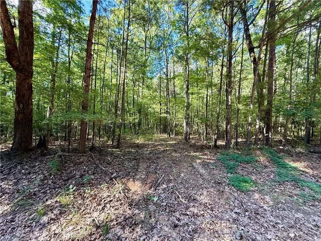 $54,995 | 0 Hwy 771 Highway, Olla, LA 71465