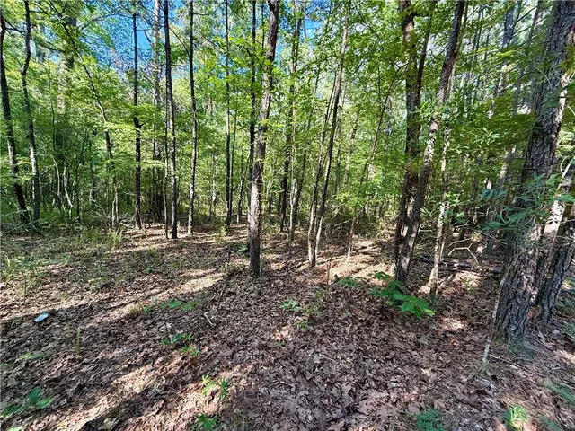 $54,995 | 0 Hwy 771 Highway, Olla, LA 71465