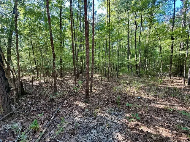 $54,995 | 0 Hwy 771 Highway, Olla, LA 71465