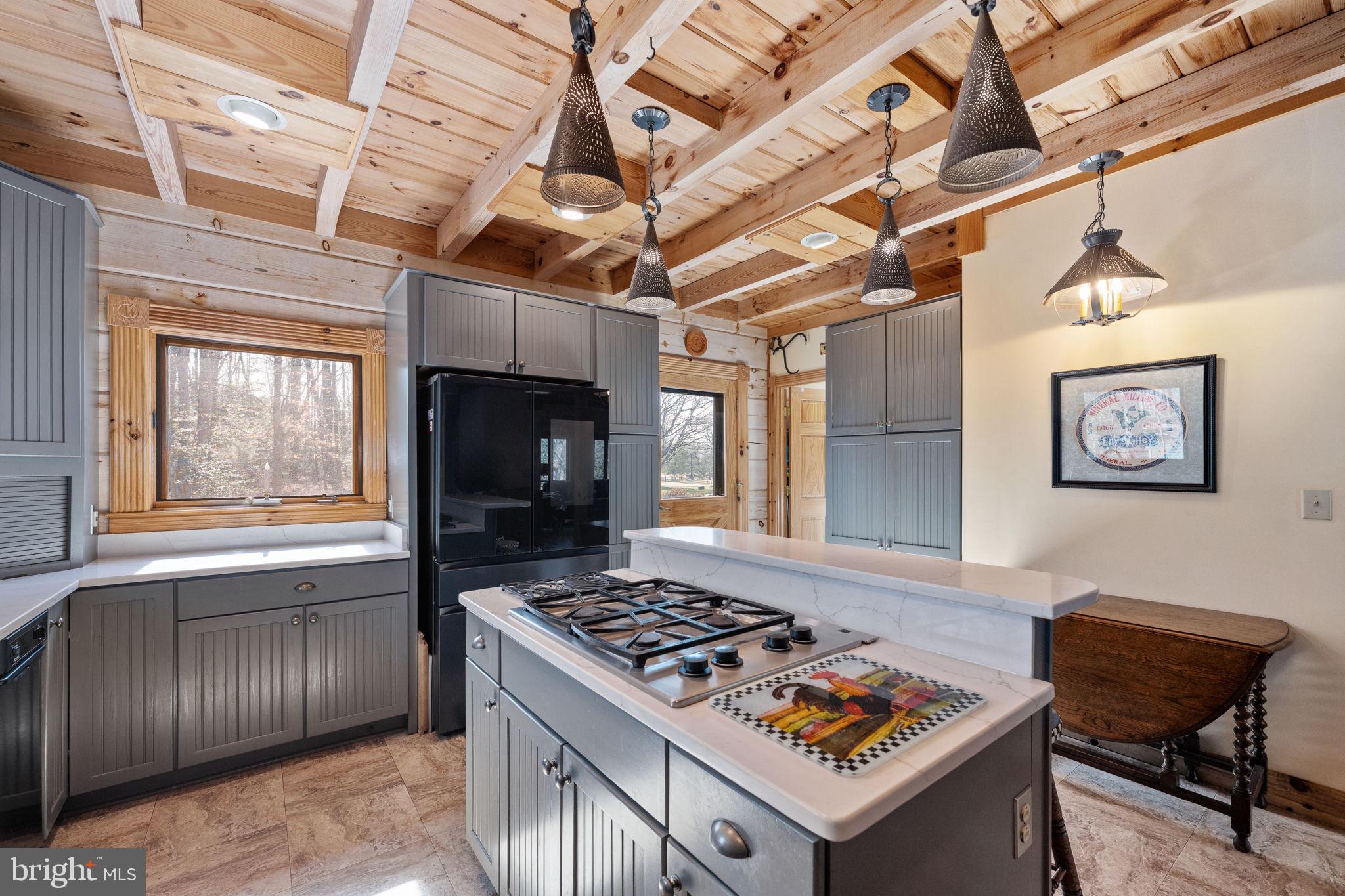 247 Burruss Mill Road Bumpass, VA 23024 - Photo 29 of 111